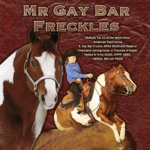 Mr Gay Bar