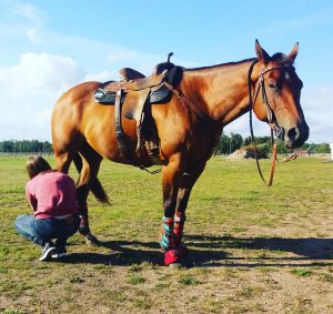 Success med sin hästskötare efter en uppvisning 2016. 